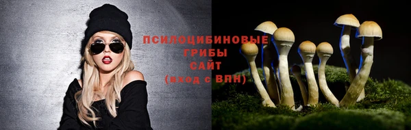 гидропоника Балабаново