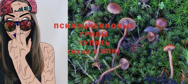 спиды Балахна
