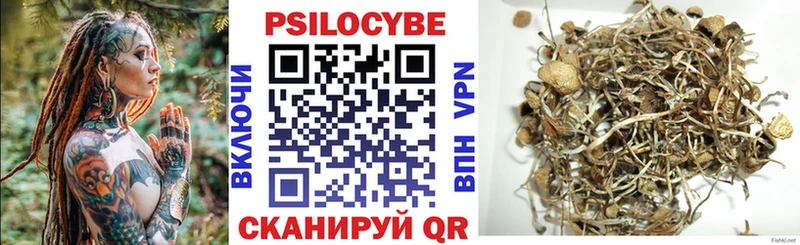 Галлюциногенные грибы Cubensis  наркошоп  Пятигорск 