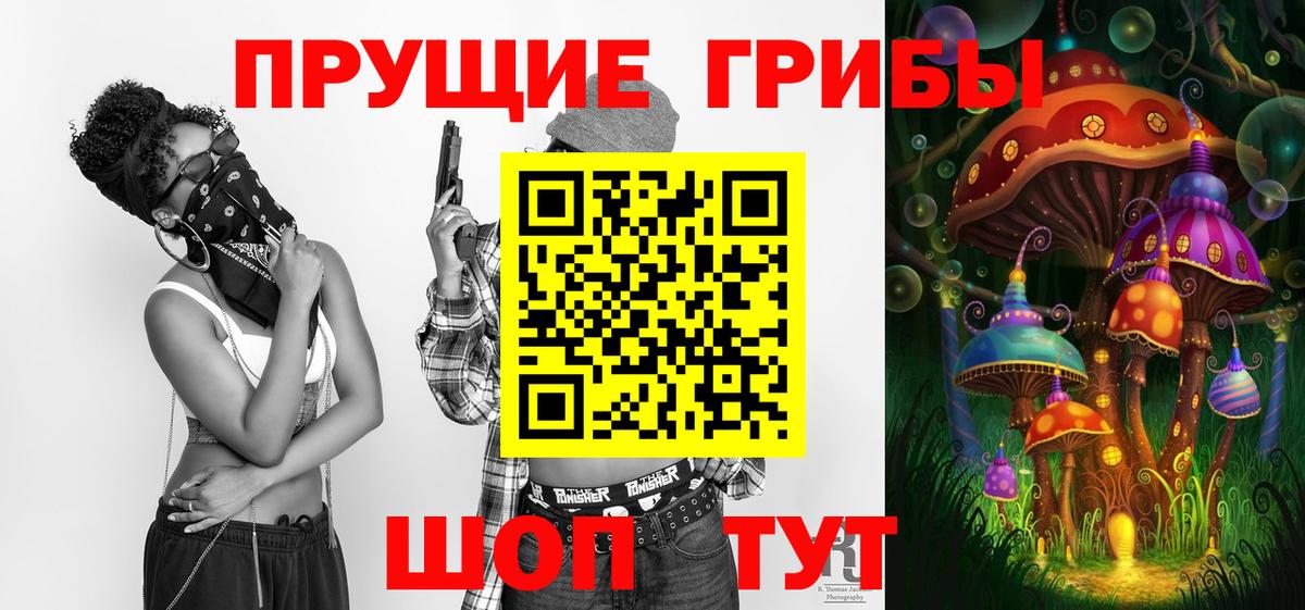 Пятигорск  Псилоцибиновые грибы Cubensis  Вход с VPN 
